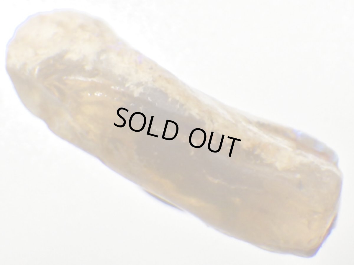 画像4: ライトニングリッジ産オパール化骨化石Ｅ (4)