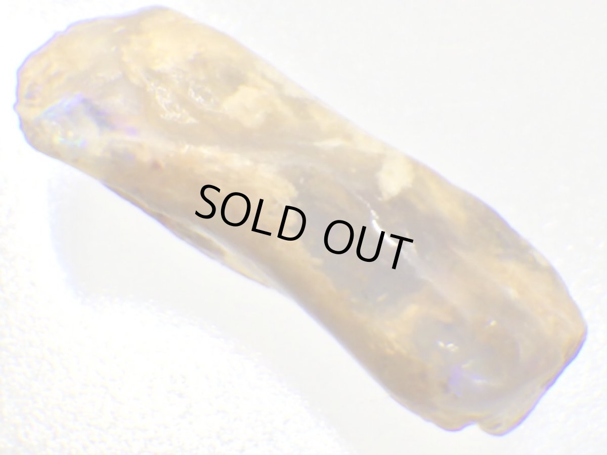 画像3: ライトニングリッジ産オパール化骨化石Ｅ (3)