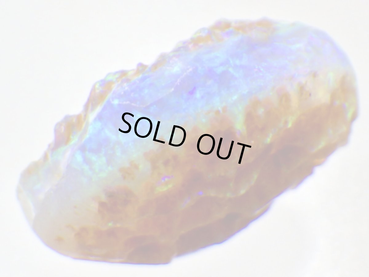 画像2: キルピー産オパール化骨化石Ｅ (2)