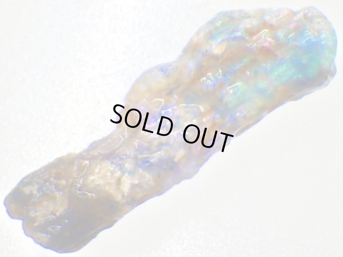 画像6: ライトニングリッジ産オパール化骨化石Ｆ (6)