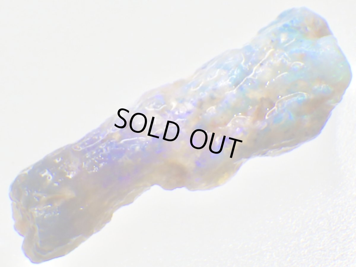 画像3: ライトニングリッジ産オパール化骨化石Ｆ (3)