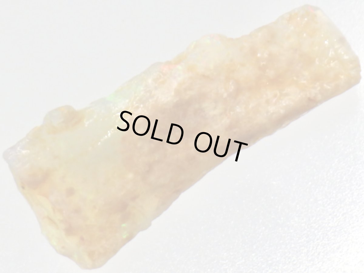 画像7: キルピー産オパール化骨化石Ｄ (7)