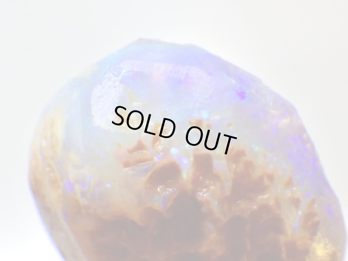 画像7: キルピー産オパール化骨化石Ｅ (7)