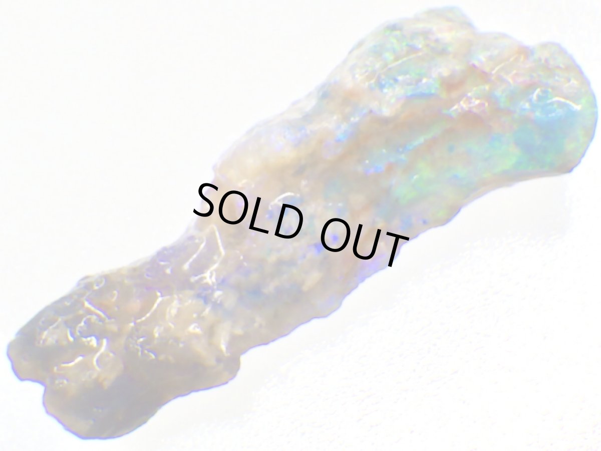 画像4: ライトニングリッジ産オパール化骨化石Ｆ (4)