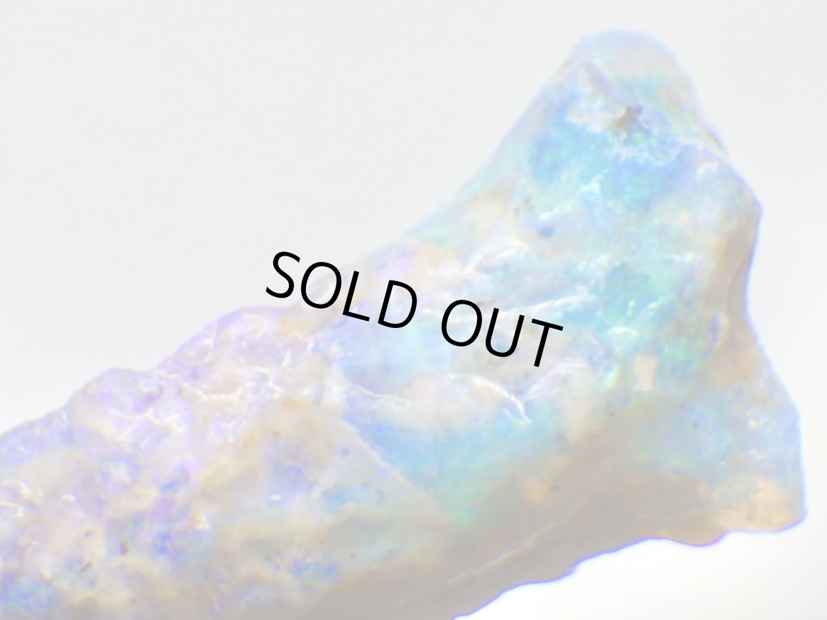 画像2: ライトニングリッジ産オパール化骨化石Ｆ (2)