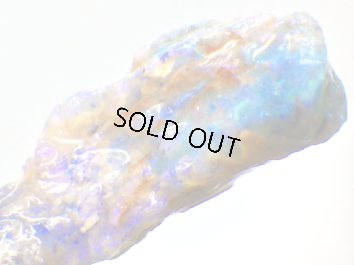 画像5: ライトニングリッジ産オパール化骨化石Ｆ (5)