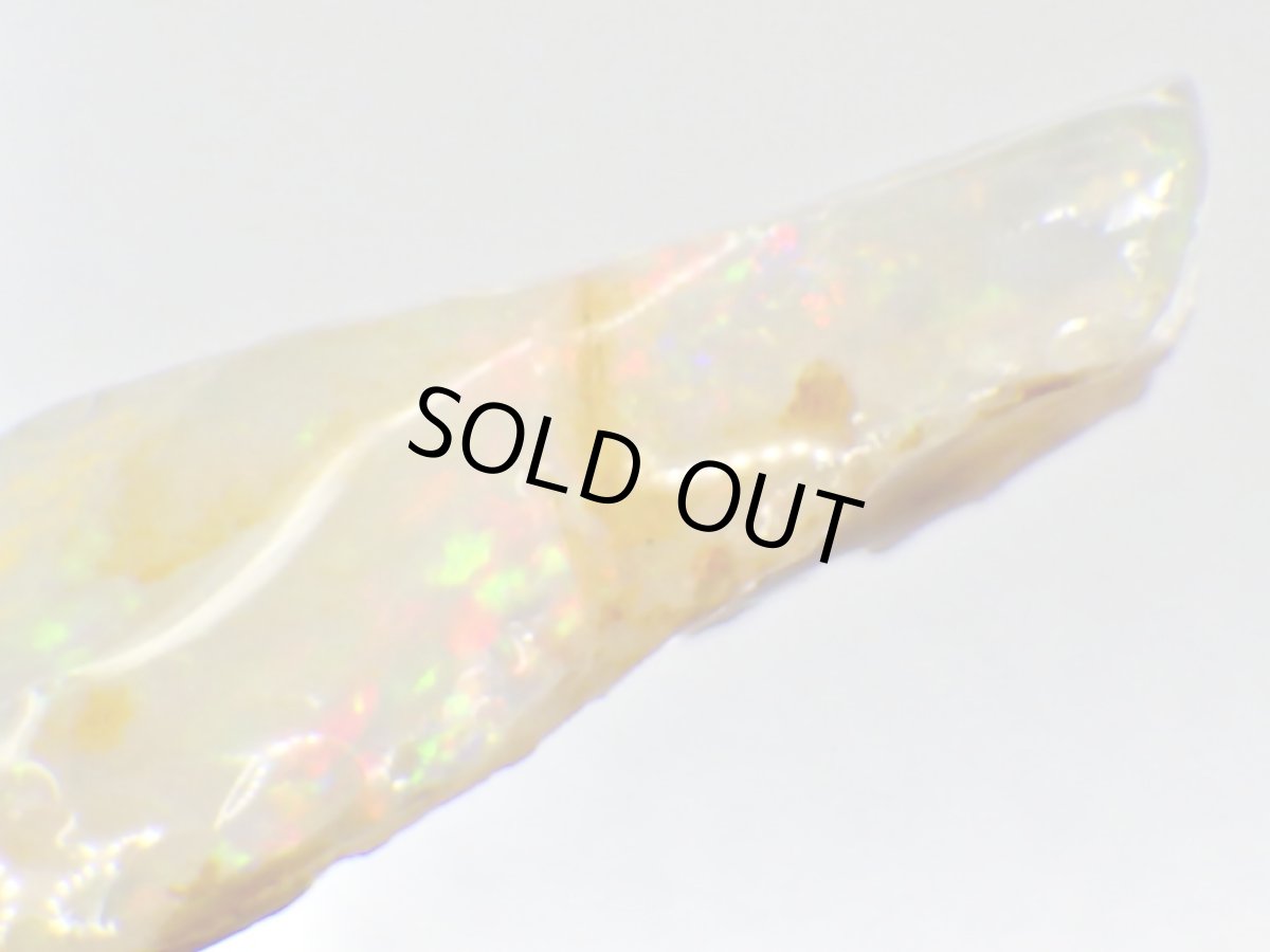 画像3: キルピー産オパール化骨化石Ｄ (3)