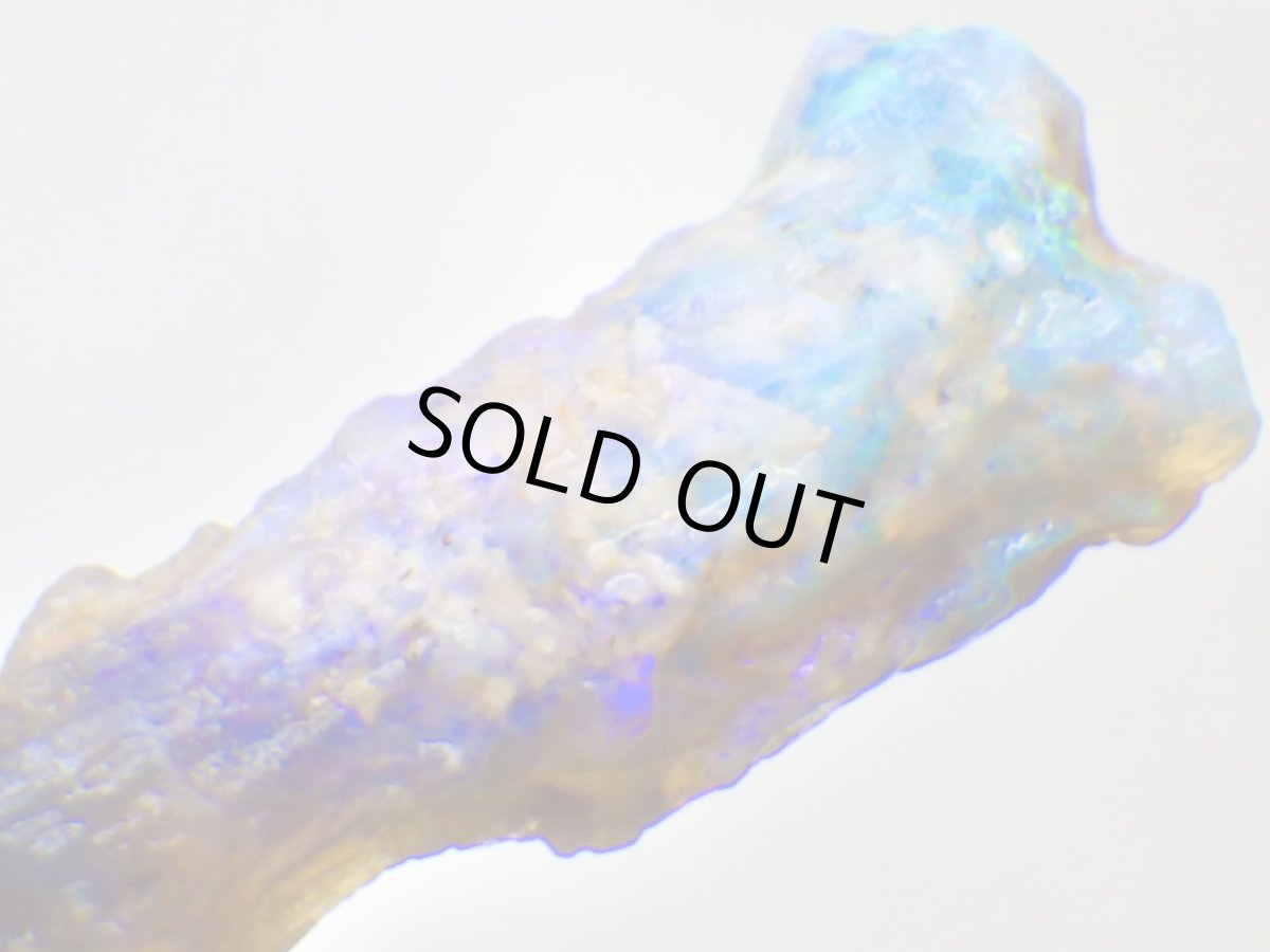 画像7: ライトニングリッジ産オパール化骨化石Ｆ (7)