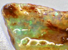 画像2: キルピー産オパール化骨化石Ａ (2)