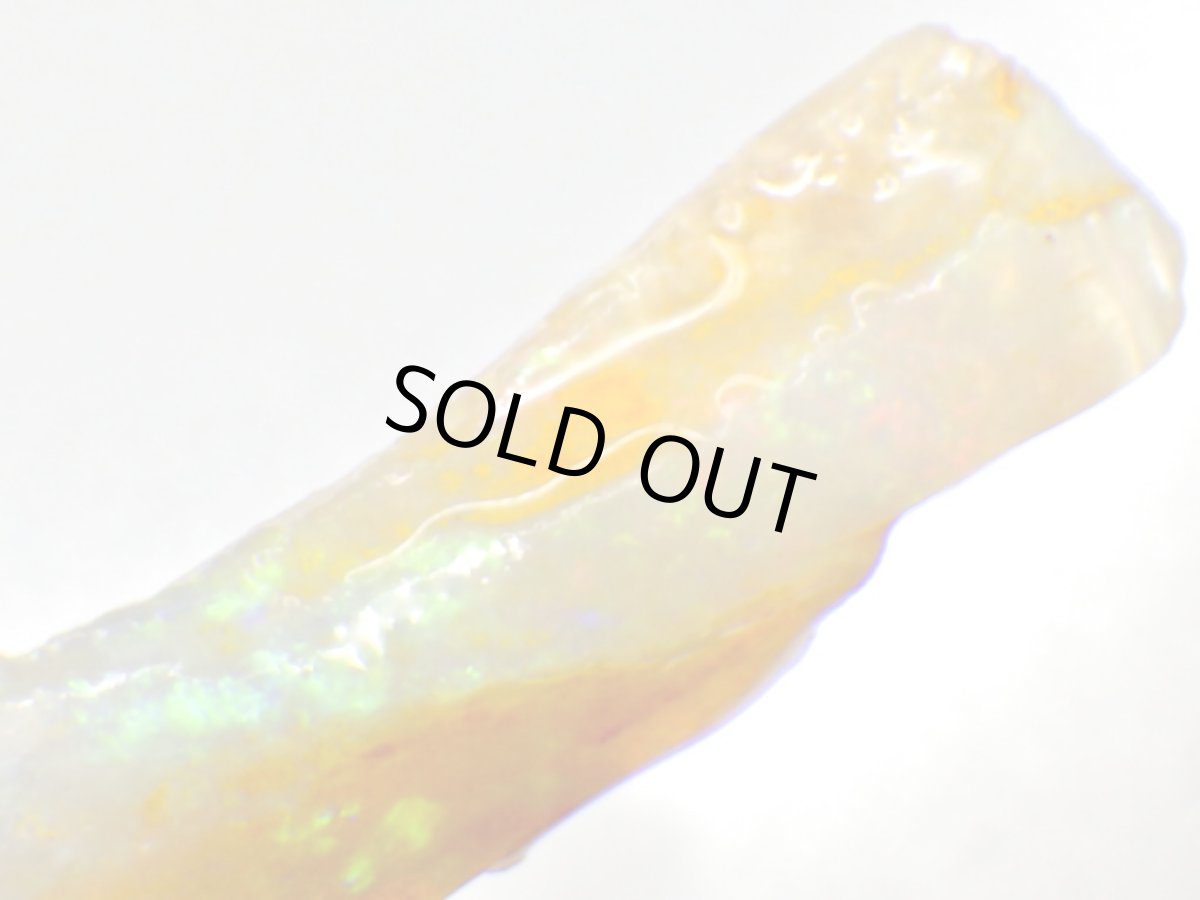 画像6: キルピー産オパール化骨化石Ｄ (6)