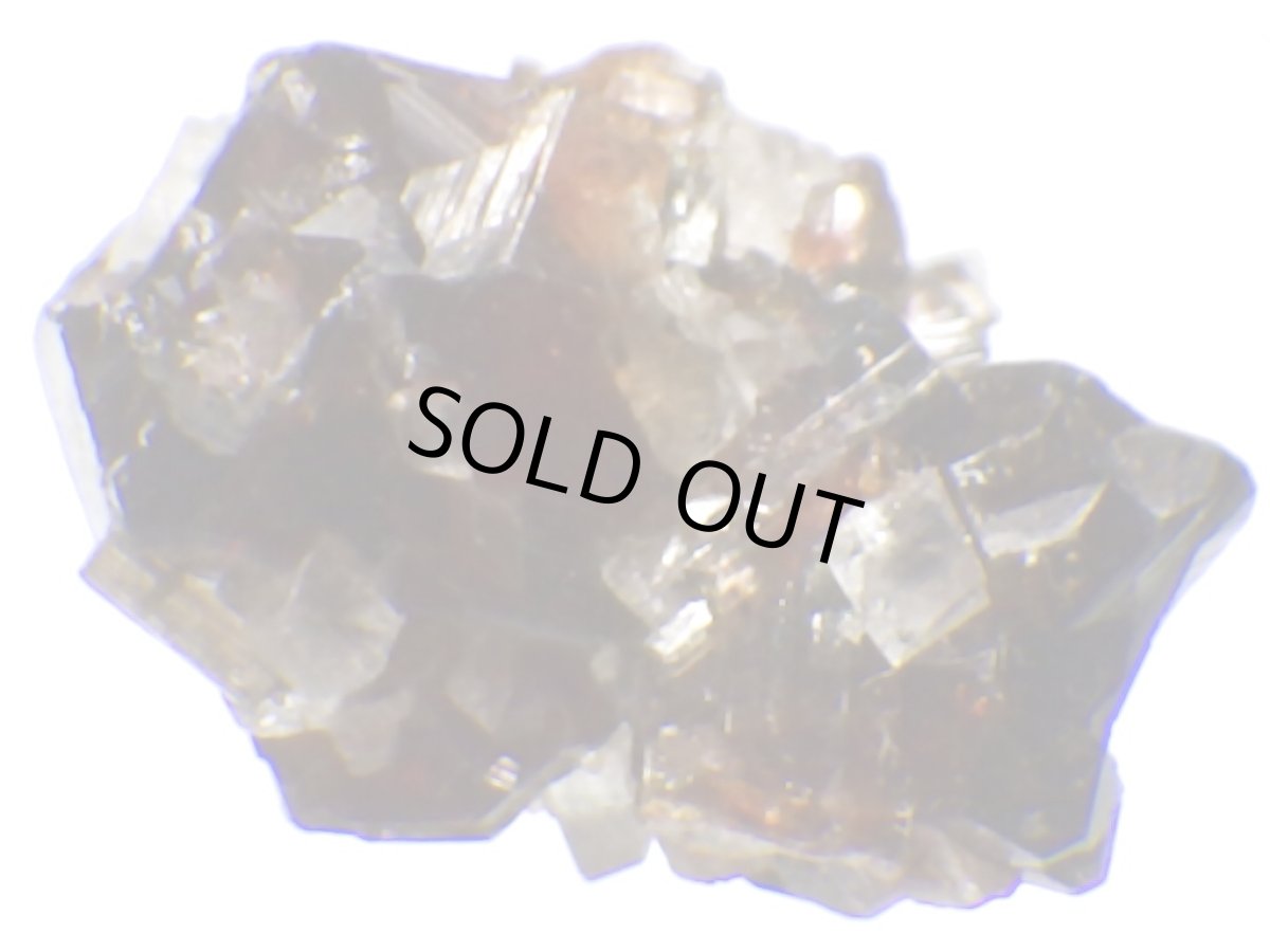 画像2: ブラジル産レッドウバイトＤ (2)