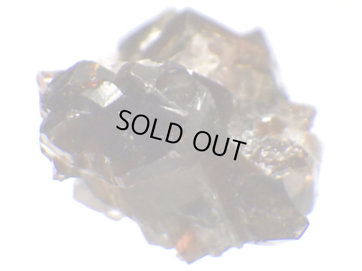 画像4: ブラジル産レッドウバイトＤ (4)