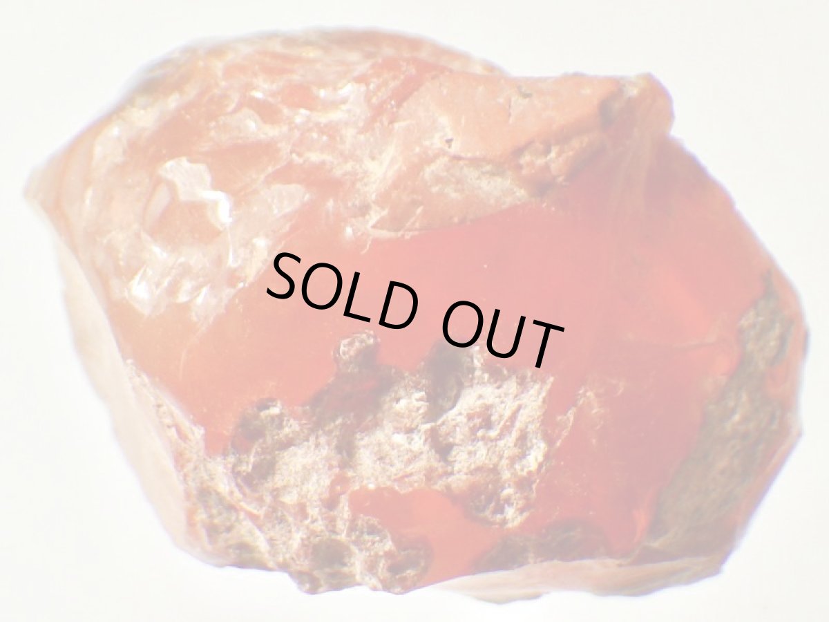 画像2: ファイアオパールＧ (2)