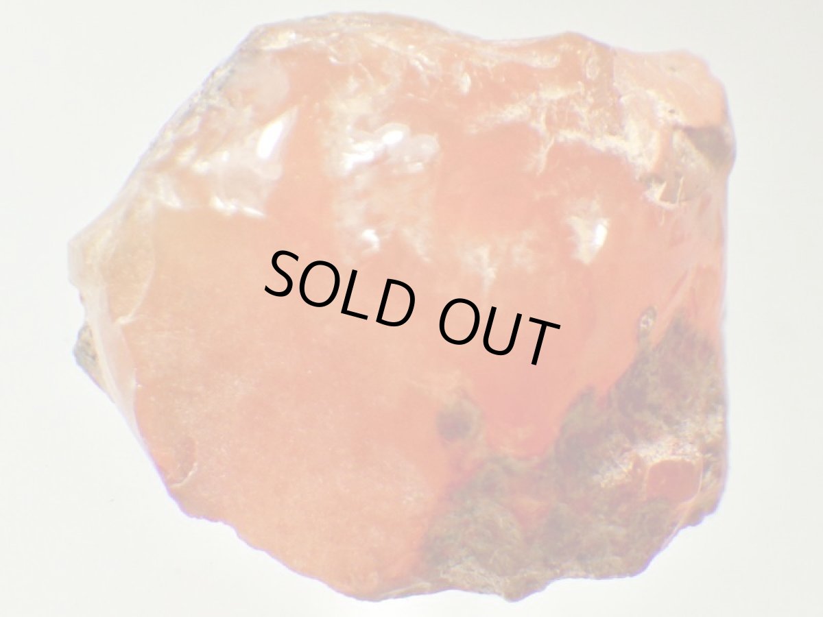 画像3: ファイアオパールＧ (3)