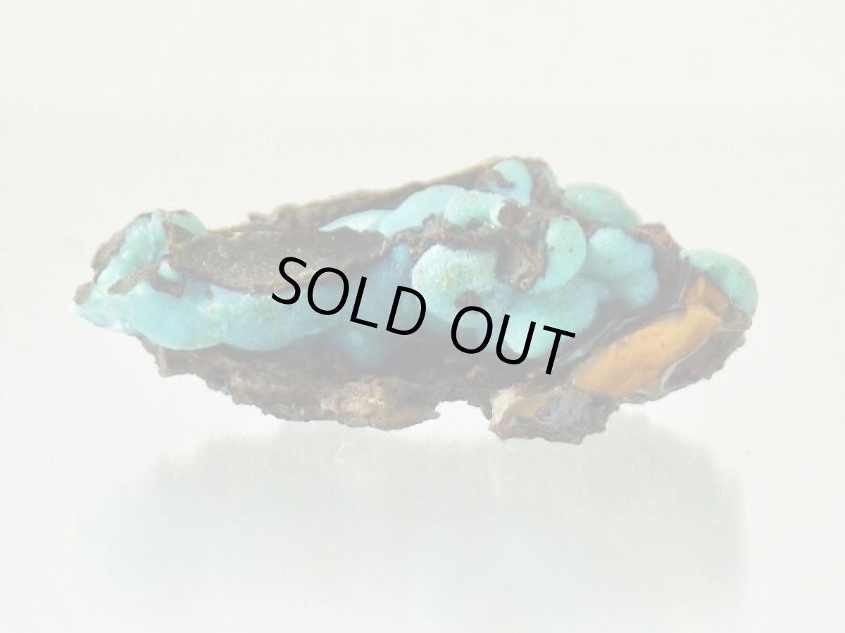 画像4: カリフォルニア産クリソコラＡ (4)