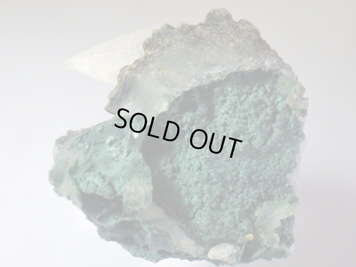 画像7: ブラジル産犬牙状カルサイト／フラワーアメジストＥ (7)