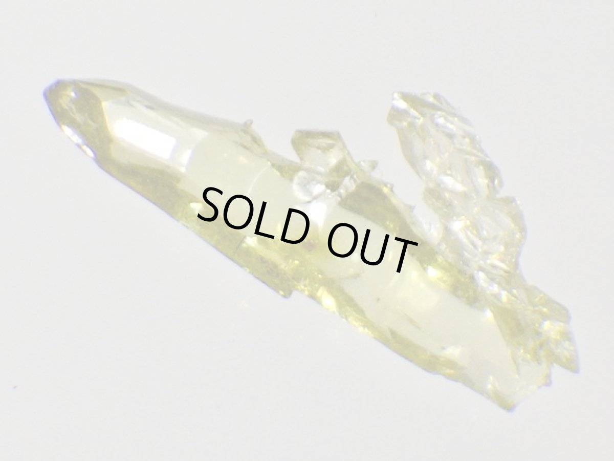 画像2: ジンカイトE (2)