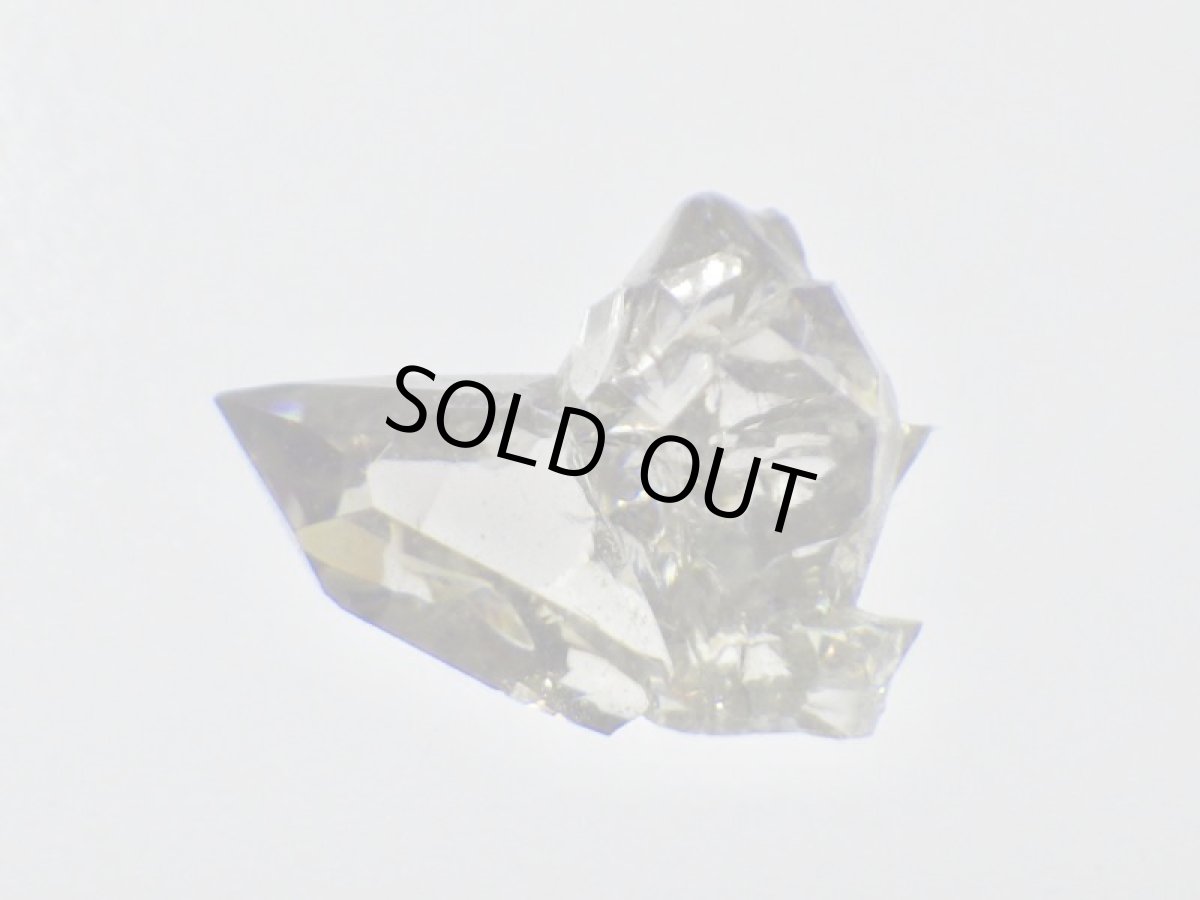 画像2: ジンカイトＤ (2)