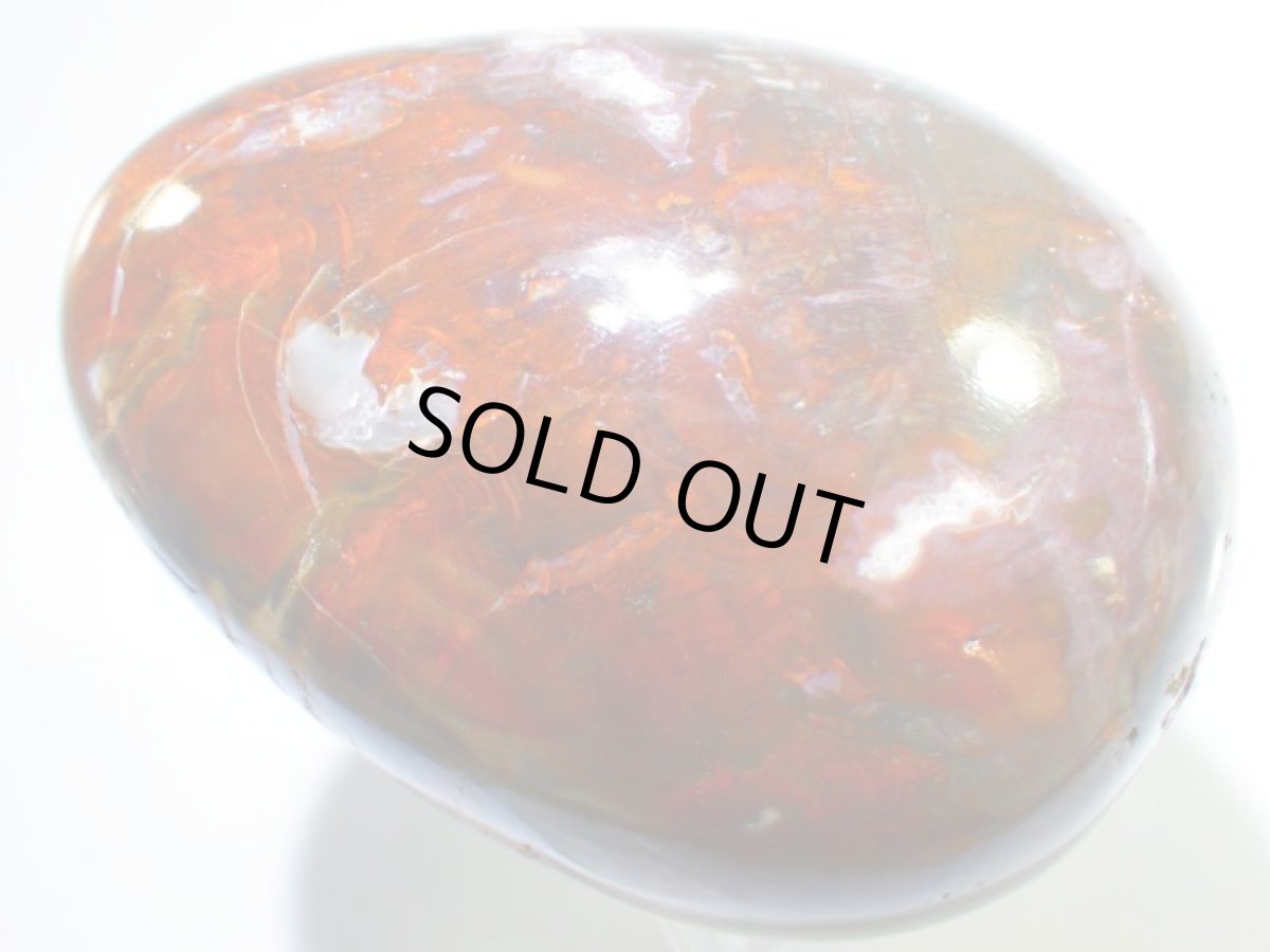 画像4: ジャスパーエッグＤ (4)