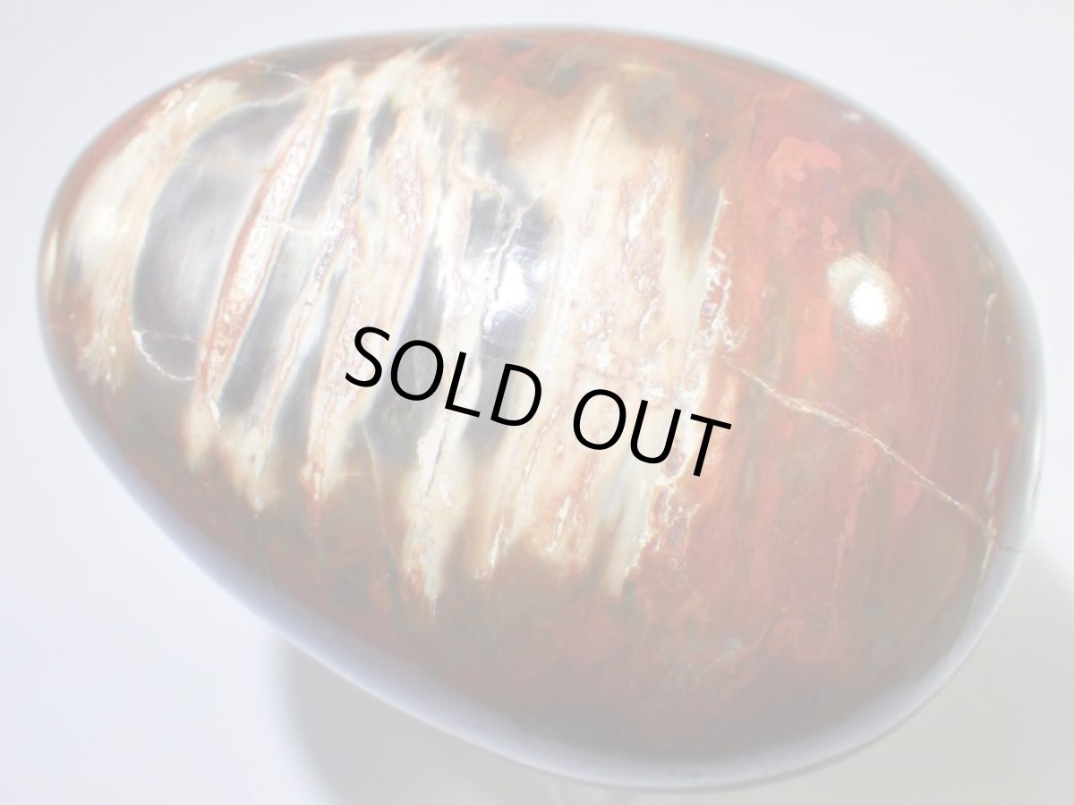 画像2: ジャスパーエッグＤ (2)