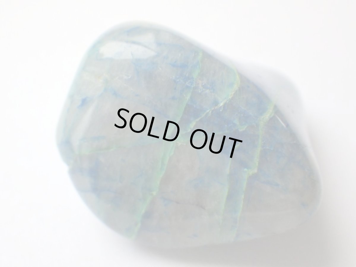 画像2: シャッタカイトタンブルＣ (2)