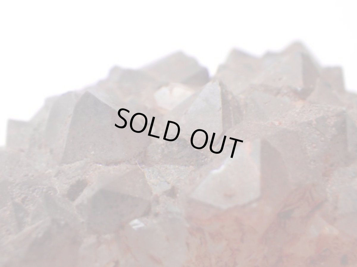 画像2: オージーアメジストＩ (2)