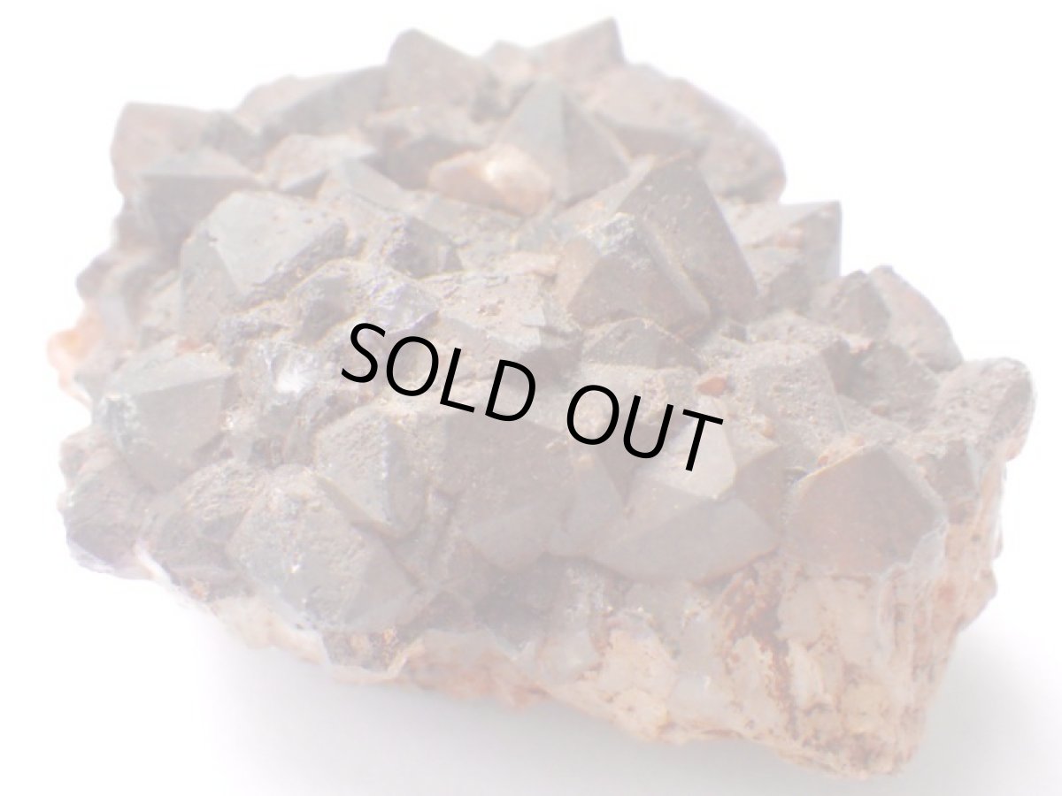 画像3: オージーアメジストＩ (3)