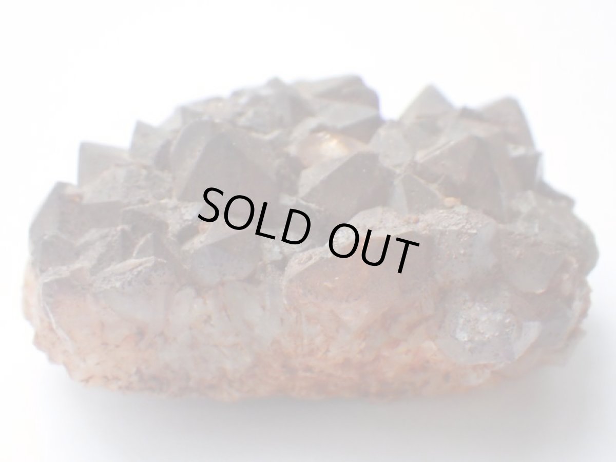 画像4: オージーアメジストＩ (4)