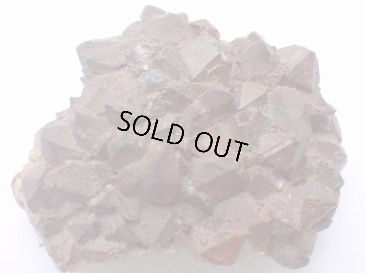 画像1: オージーアメジストＩ (1)