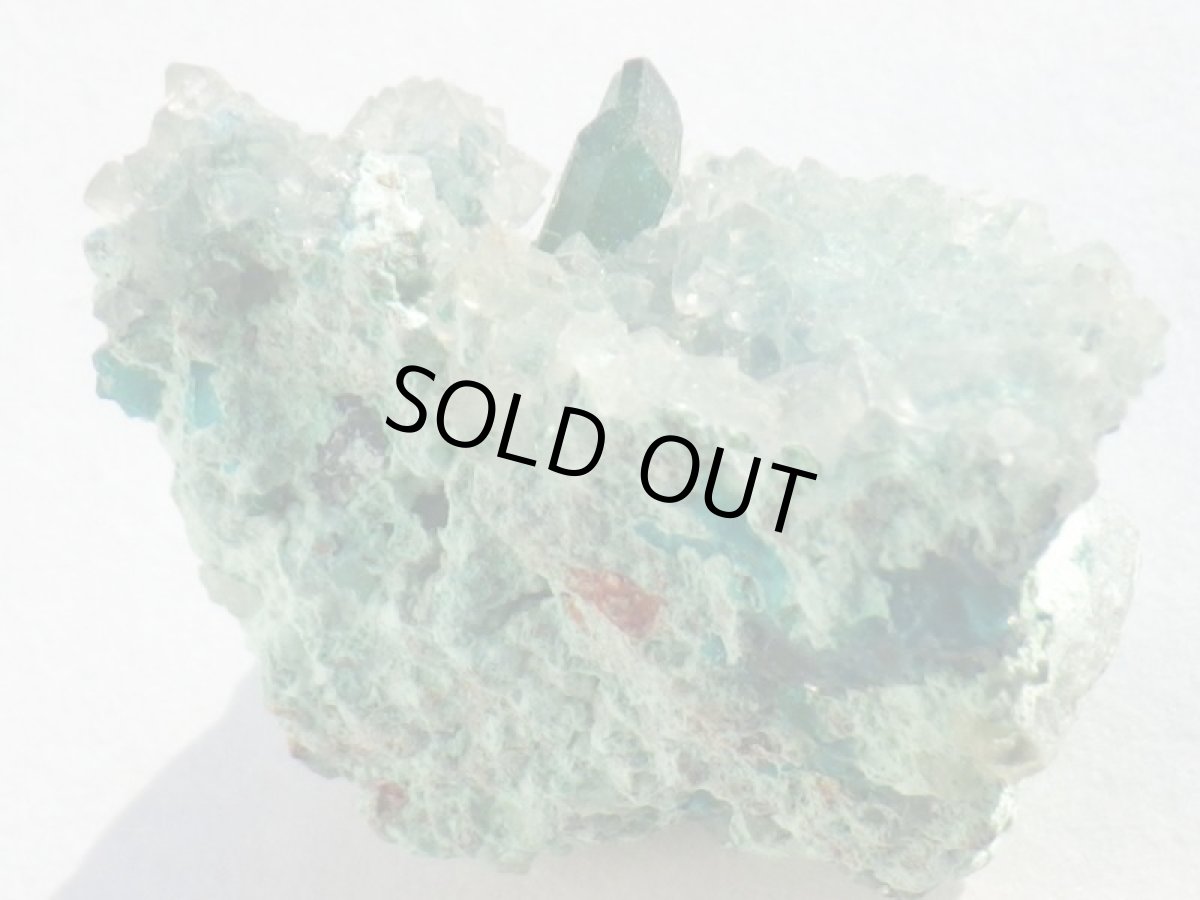 画像4: アリゾナ産ダイオプテーズＦ (4)