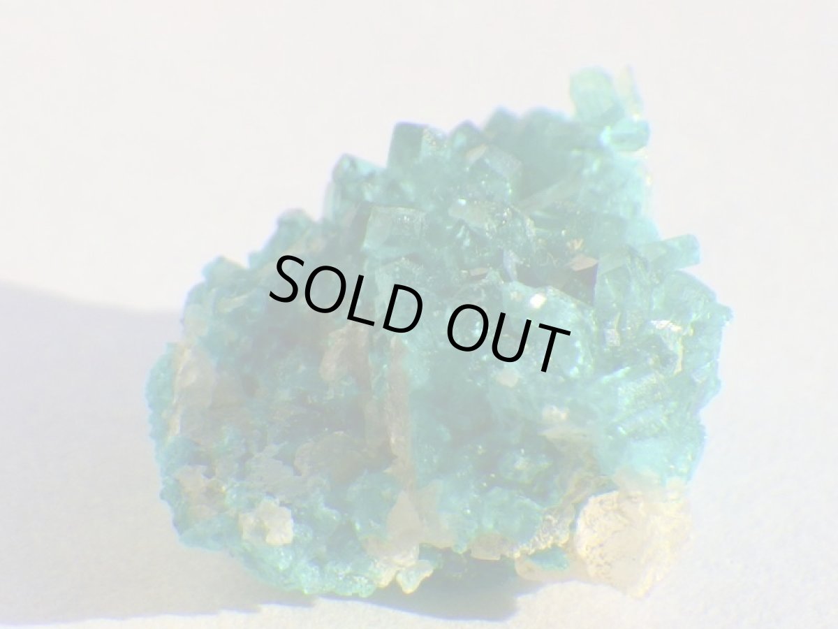 画像4: アリゾナ産ダイオプテーズＤ (4)