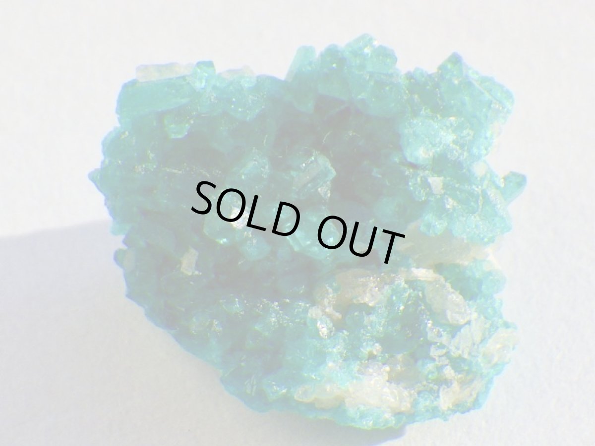 画像2: アリゾナ産ダイオプテーズＤ (2)