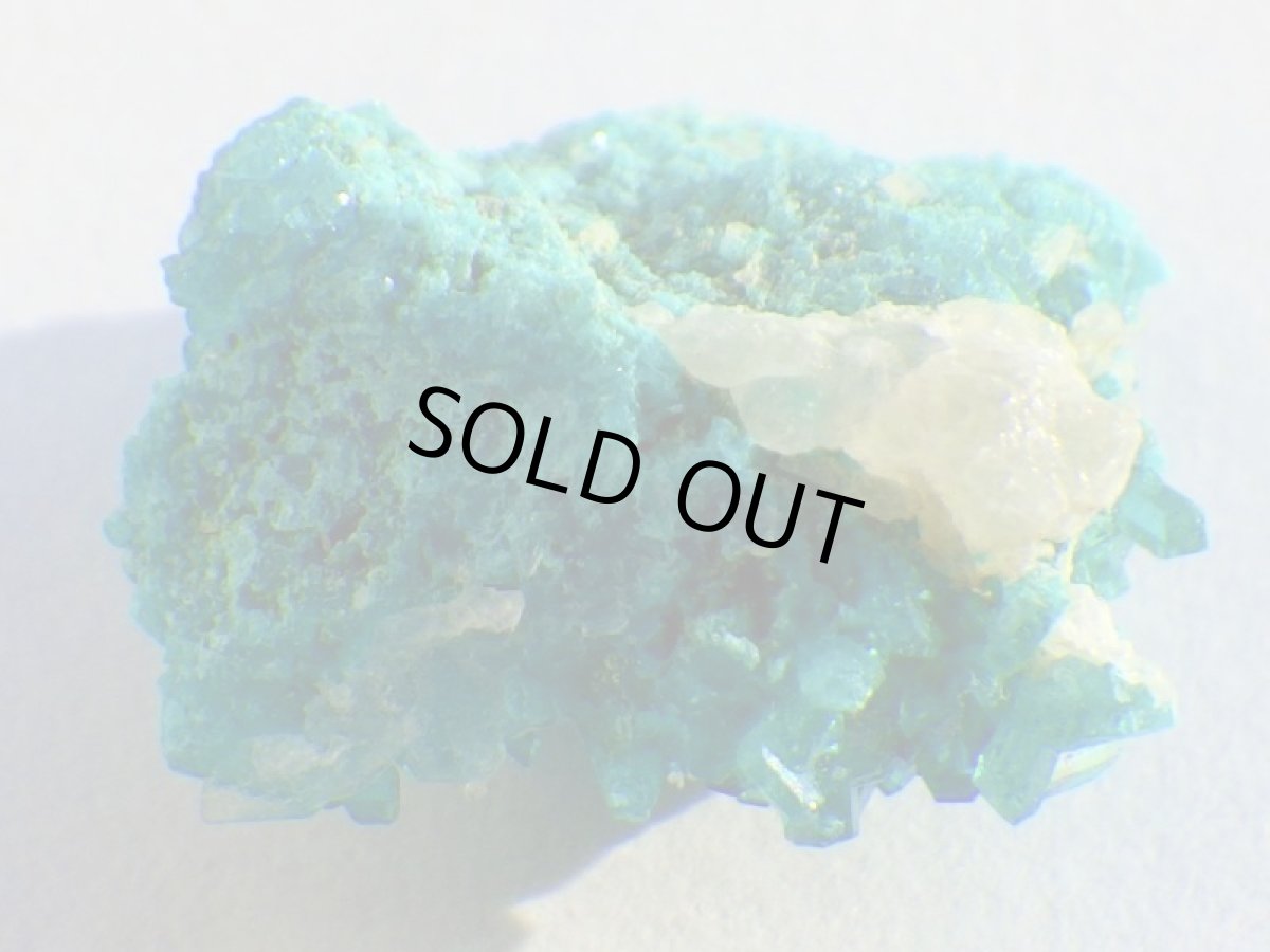 画像5: アリゾナ産ダイオプテーズＤ (5)