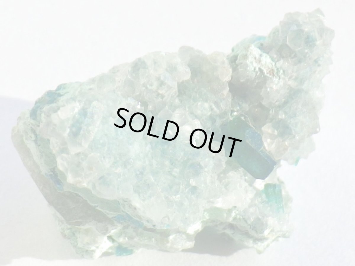 画像3: アリゾナ産ダイオプテーズＦ (3)