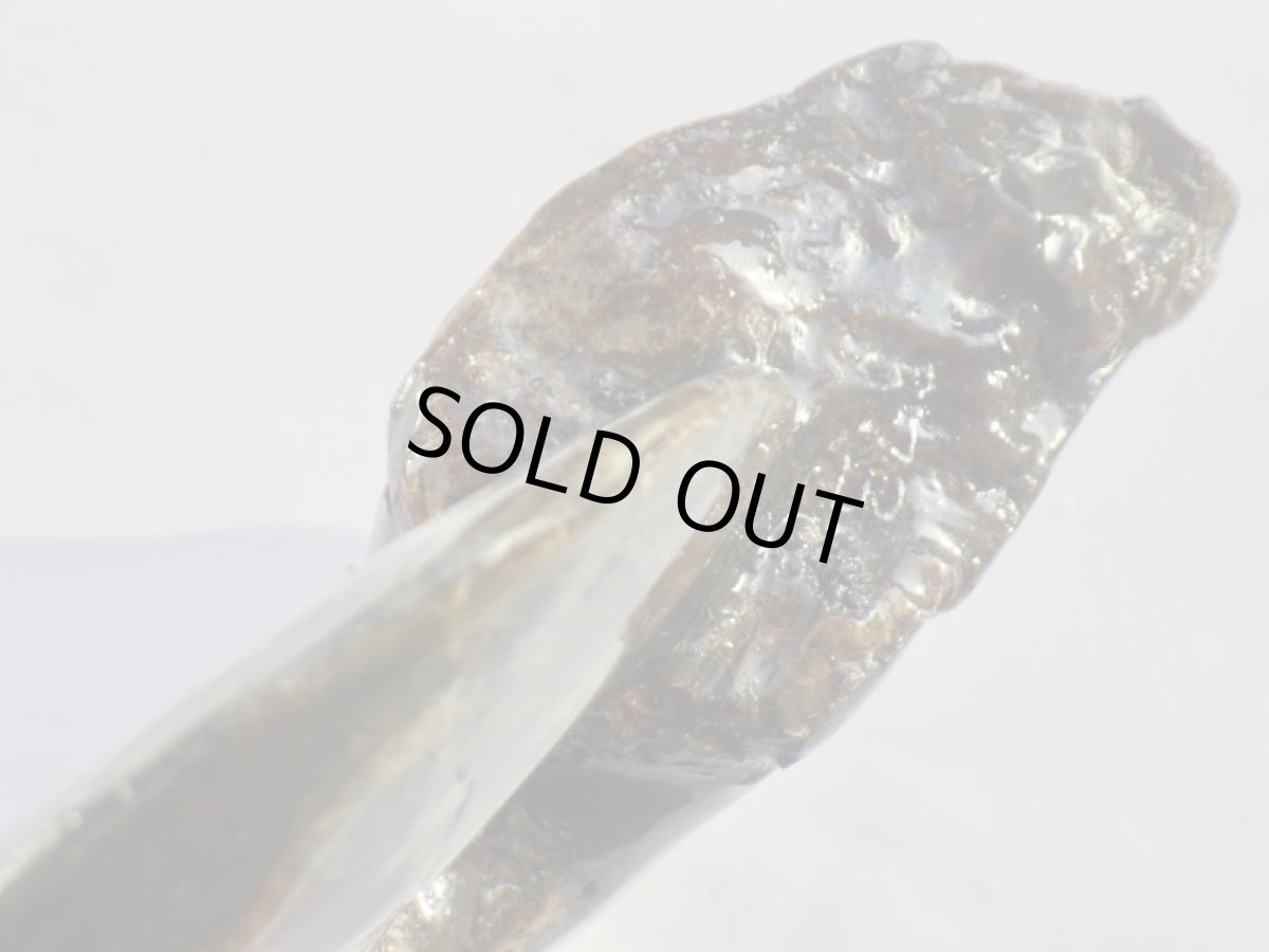 画像4: アンモライト完全体Ａ (4)