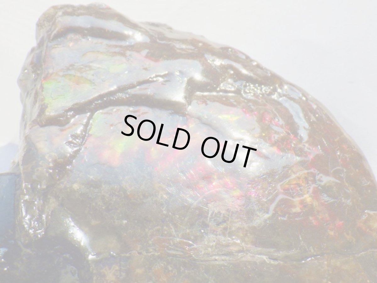 画像9: アンモライト完全体Ａ (9)