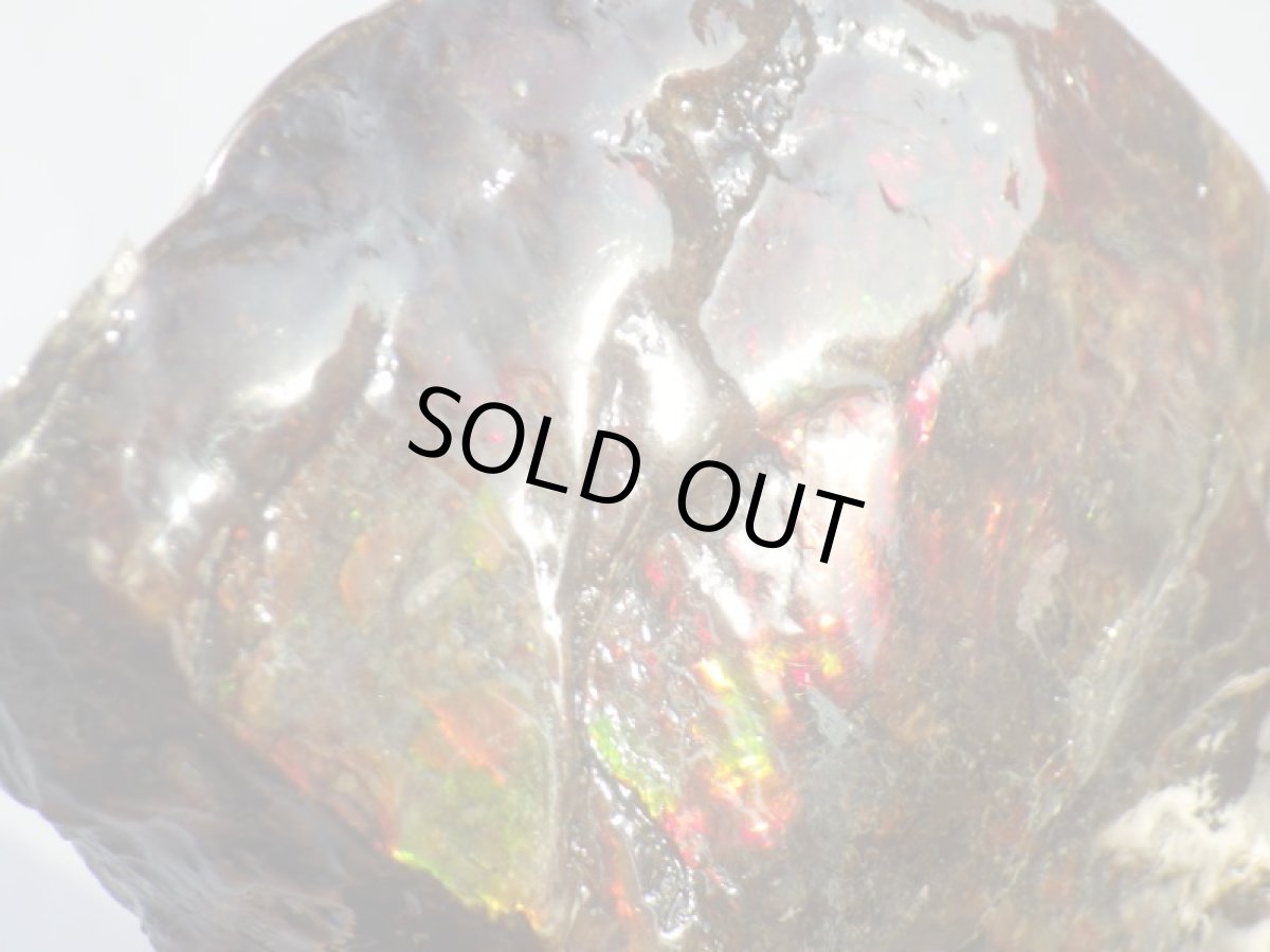 画像8: アンモライト完全体Ａ (8)