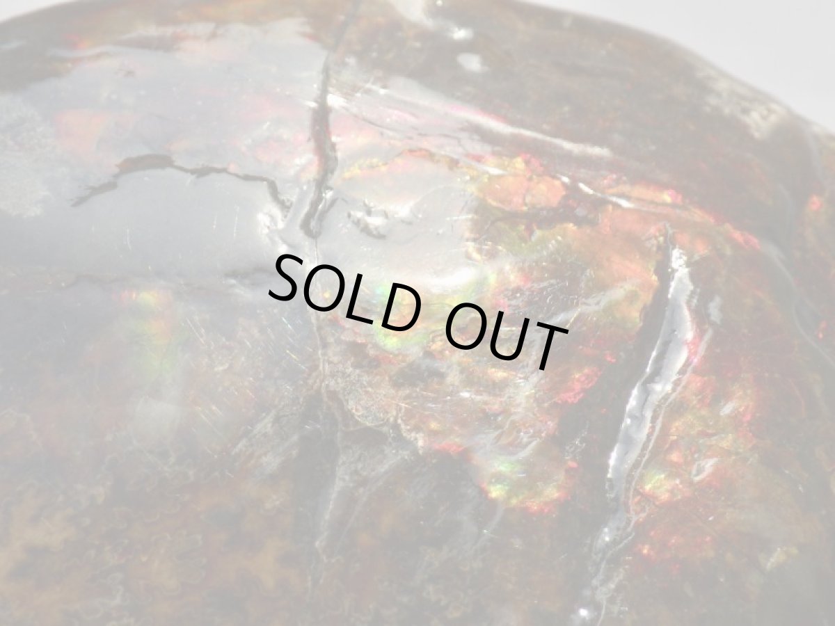 画像2: アンモライト完全体Ａ (2)