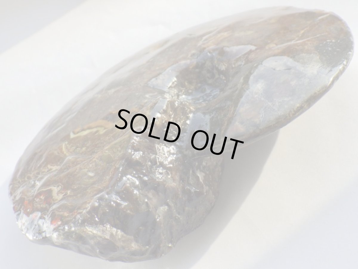 画像3: アンモライト完全体Ａ (3)