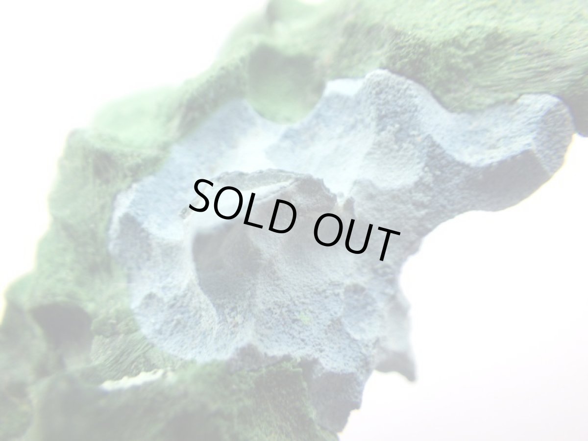 画像2: シャッタカイト／マラカイトＢ (2)