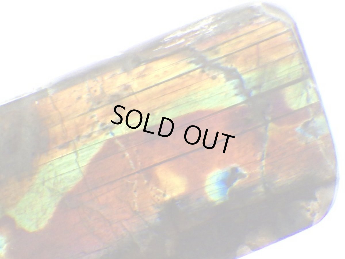 画像4: スペクトロライトＥ (4)