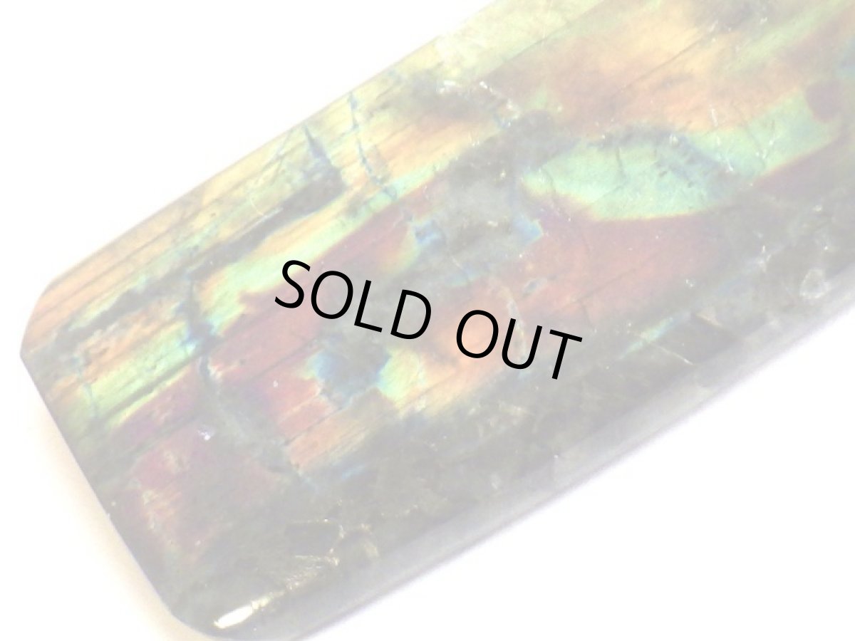 画像6: スペクトロライトＥ (6)