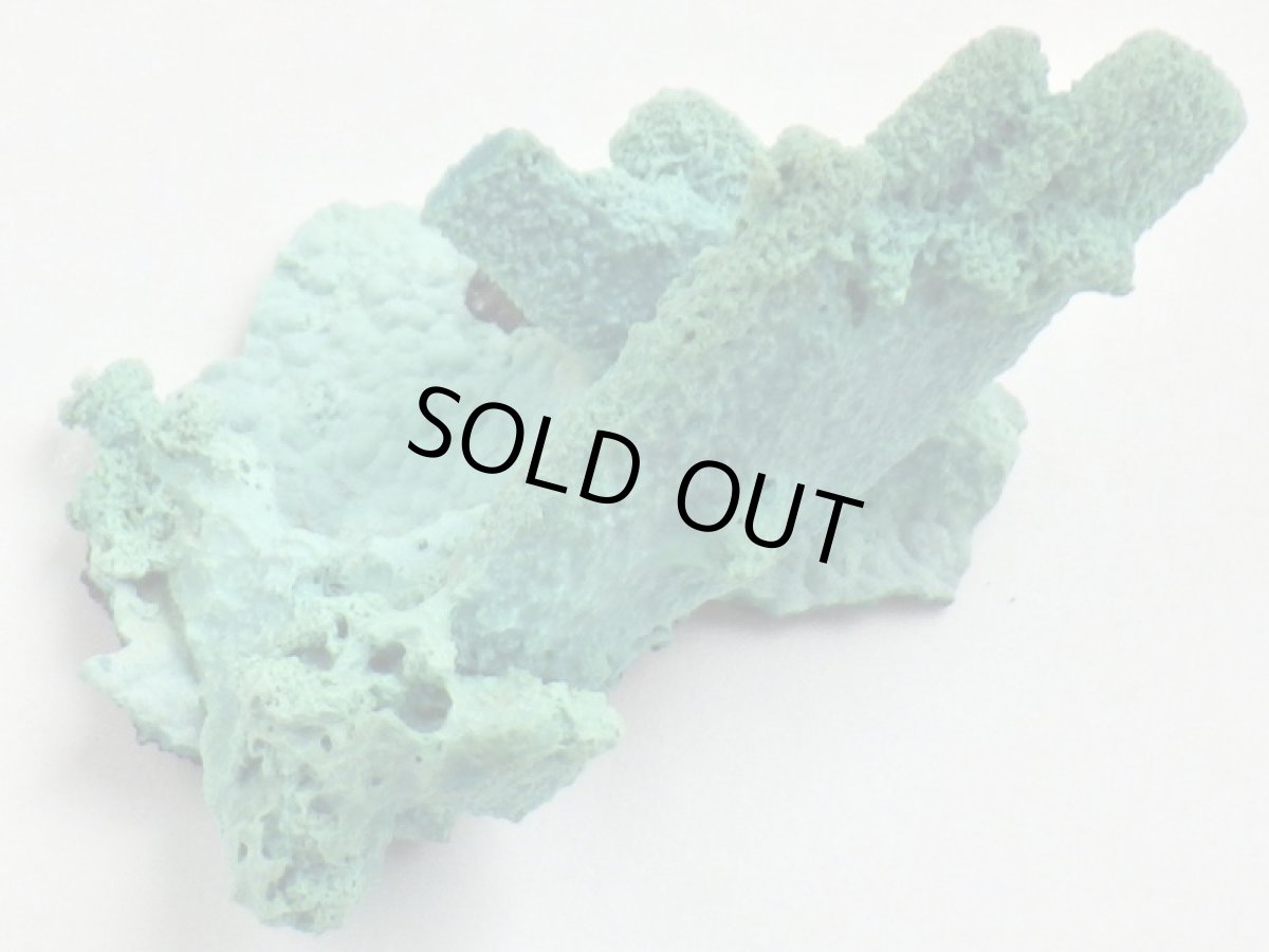 画像2: コンゴ産クリソコラ(アズライト仮晶)Ａ (2)