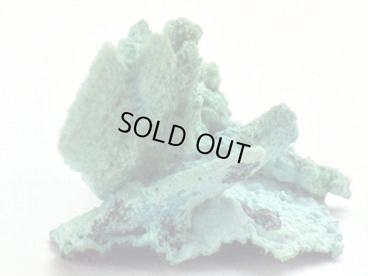 画像5: コンゴ産クリソコラ(アズライト仮晶)Ａ (5)