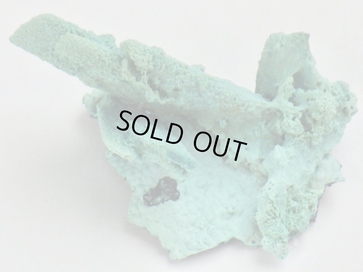 画像3: コンゴ産クリソコラ(アズライト仮晶)Ａ (3)