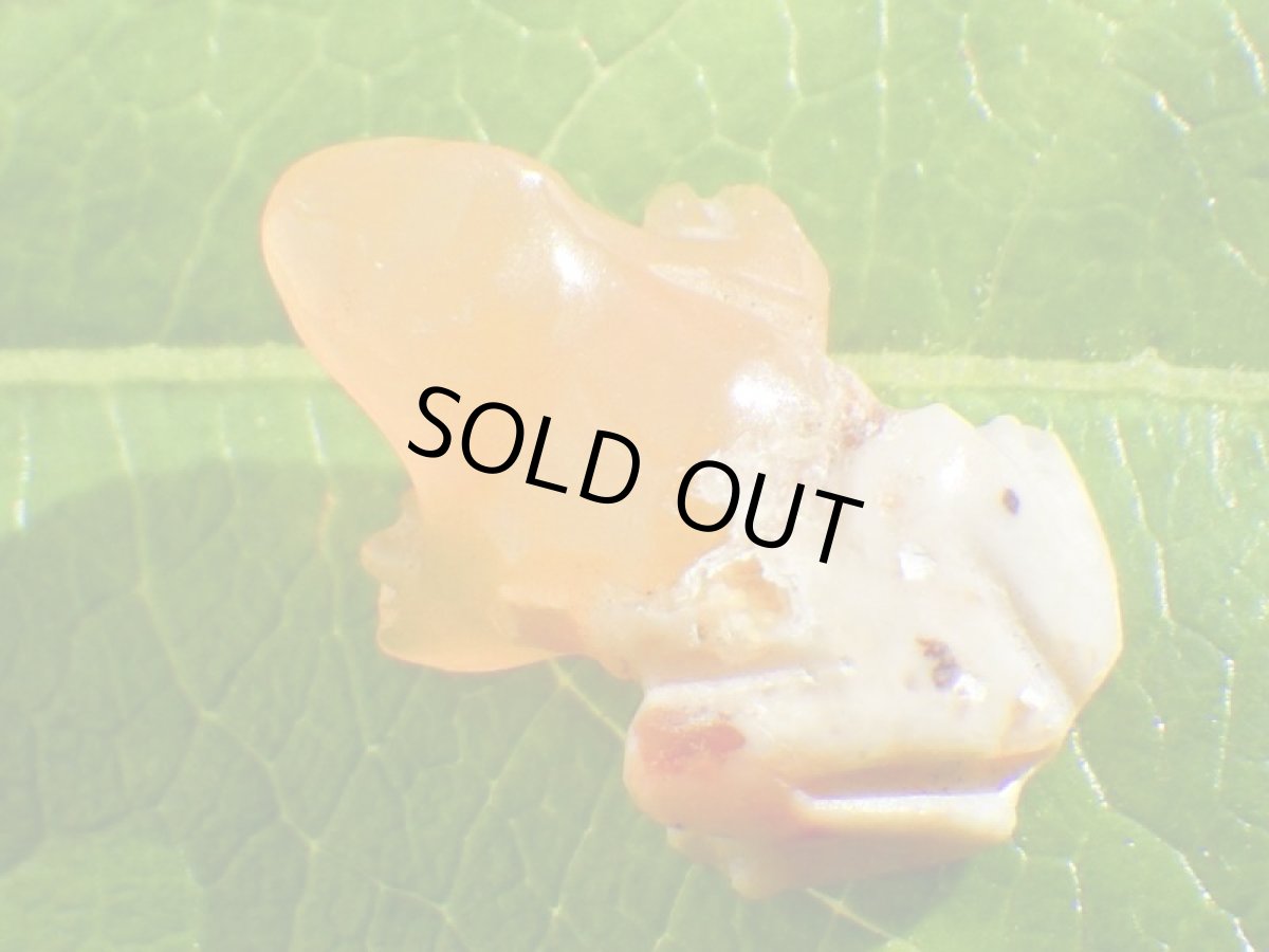 画像2: カンテラオパールプチかえるＤ (2)