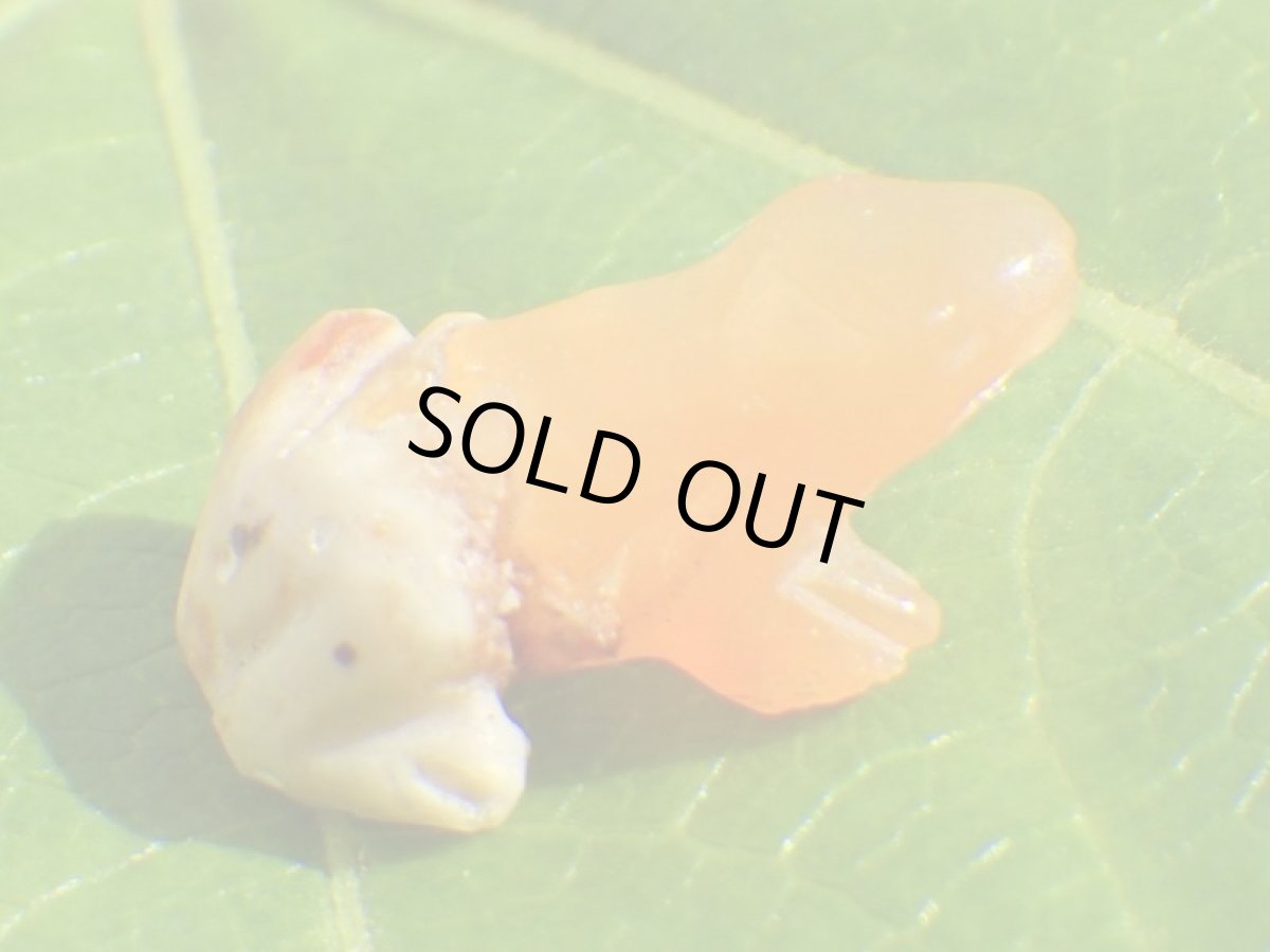 画像3: カンテラオパールプチかえるＤ (3)