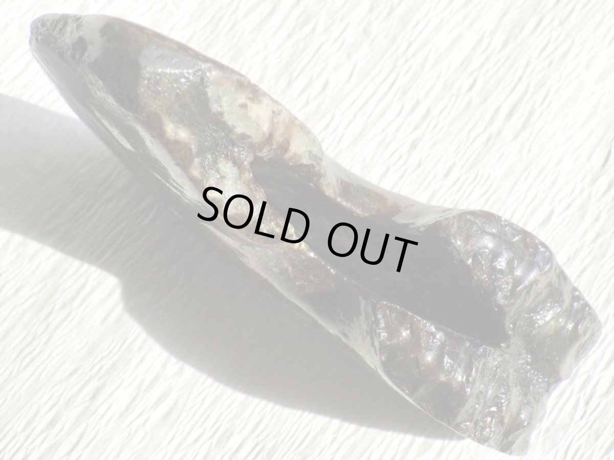 画像12: アンモライト完全体B (12)