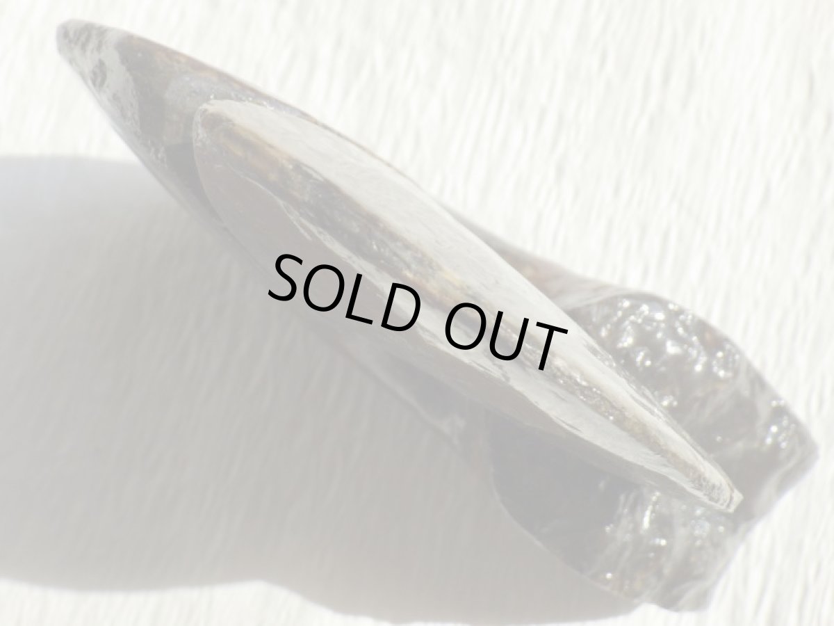 画像14: アンモライト完全体B (14)