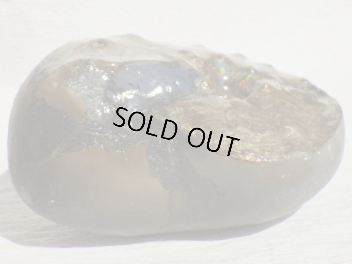 画像8: アンモライト完全体C (8)